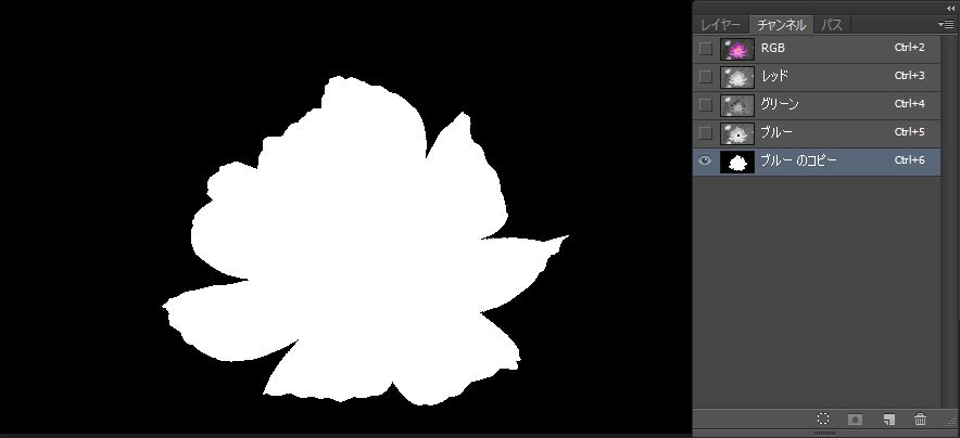 花をブラシツールで白で塗りそれ以外の白は黒で塗る
