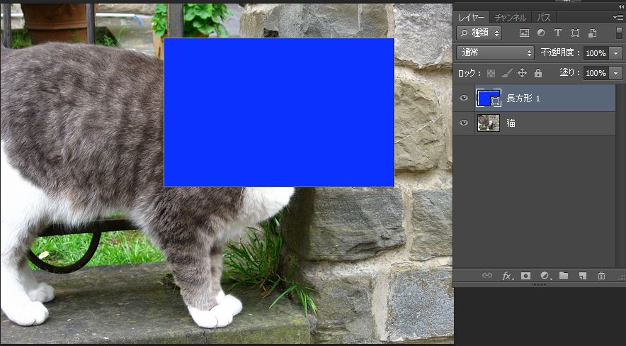 猫レイヤー上に青い長方形ができる